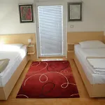 Appartement And Oliviers Moravske-Toplice